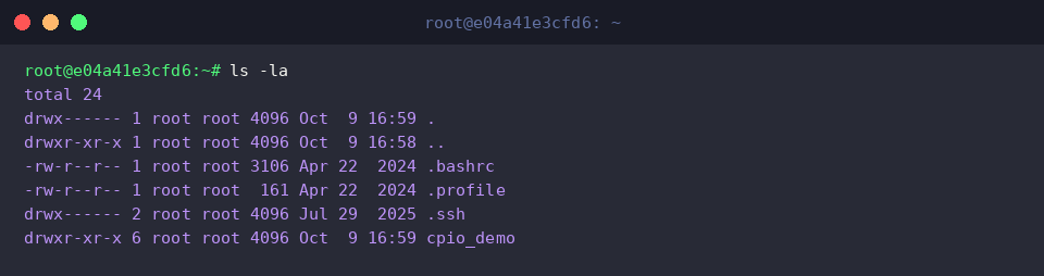 Final verification of unpacked files and directory permissions