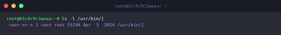 Listing binary details and permissions with ls -l
