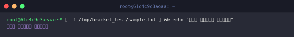 Validating regular file existence via short-circuit AND