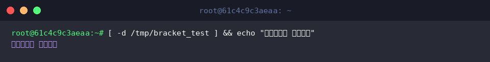 Checking directory attributes with -d option