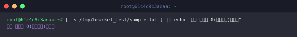 Handling empty file detection using the -s parameter