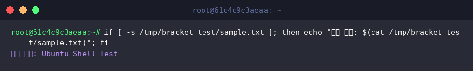 Executing Bash if block driven by bracket return code