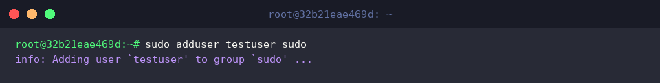 Granting administrative rights by adding testuser to sudo group