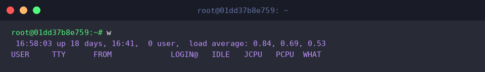 Auditing connected sessions and terminal usage
