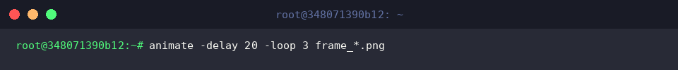 Controlling frame delays and loop counts in animate
