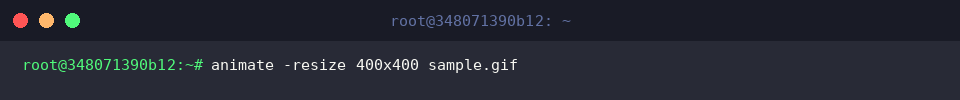 Previewing resized GIF animation in ImageMagick