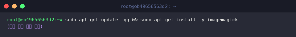Installing ImageMagick package via apt-get