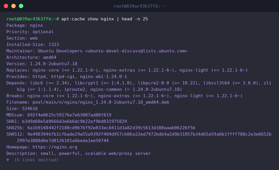 Inspecting top manifest fields for nginx