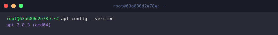 Verify APT binary version and target platform