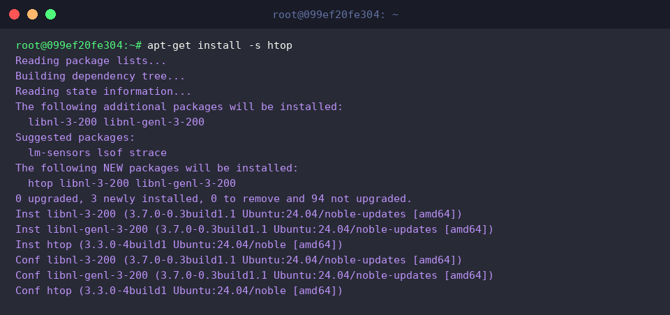 Simulating package installation using the dry run flag