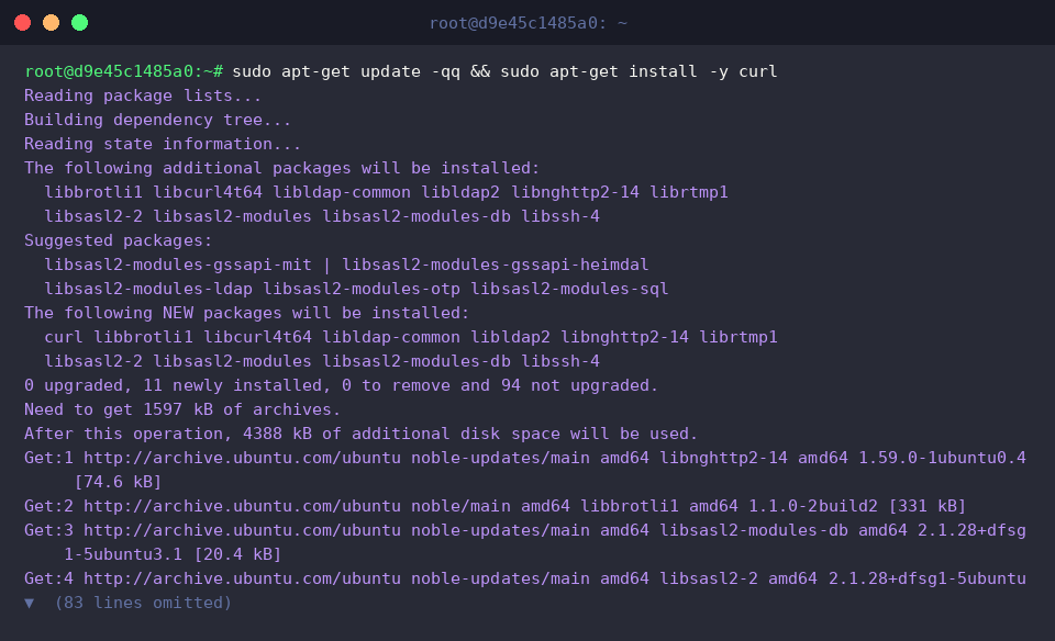 Refreshing APT cache and installing curl