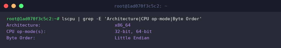 Filtering CPU architecture attributes using lscpu and grep