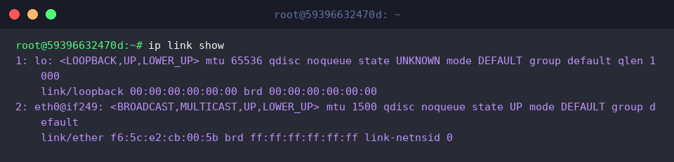 Checking link status with ip link show