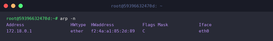 Viewing numerical ARP entries with arp -n