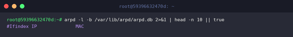 Dumping stored records from arpd database