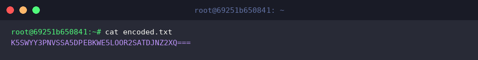 Reviewing encoded file content