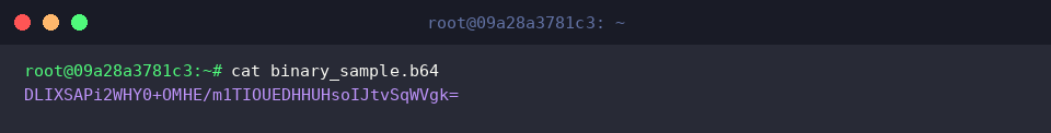 Confirming ASCII structure of encoded binary file
