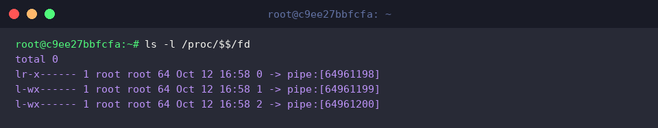 Listing open file descriptors for the current shell PID