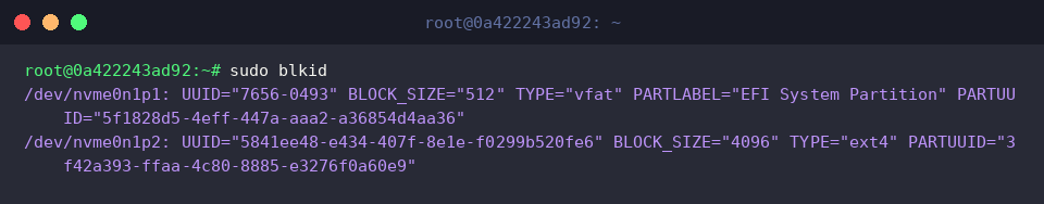 Comprehensive block device inspection with sudo blkid