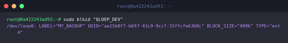 Verifying attributes of the initialized loopback node