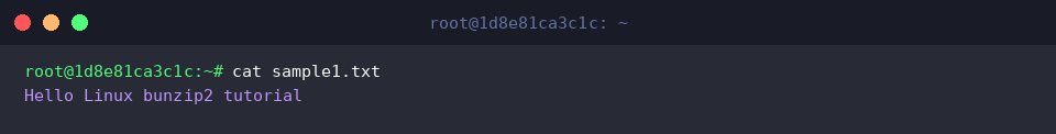 Verifying extracted file content