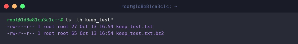 Listing directory to verify archive preservation