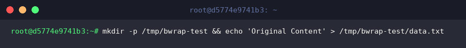 Creating a test file on the host filesystem