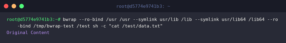 Inspecting read-only mounted files inside the sandbox
