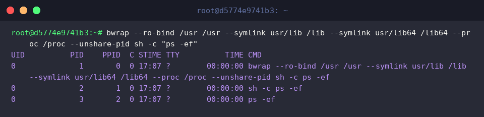 Viewing the isolated process list inside the PID namespace