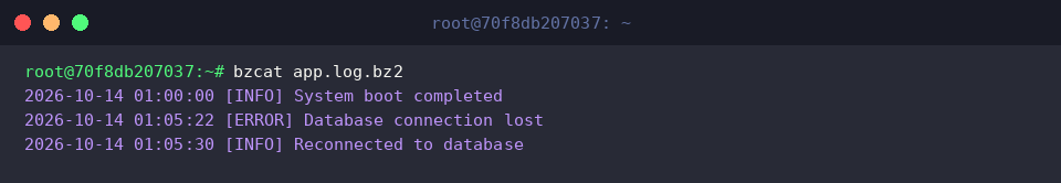 Inspecting bz2 archive contents directly using bzcat