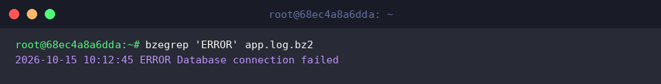 Search for ERROR messages directly inside the bz2 file