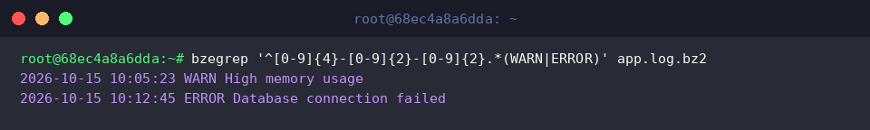 Filter records using timestamp validation and log levels