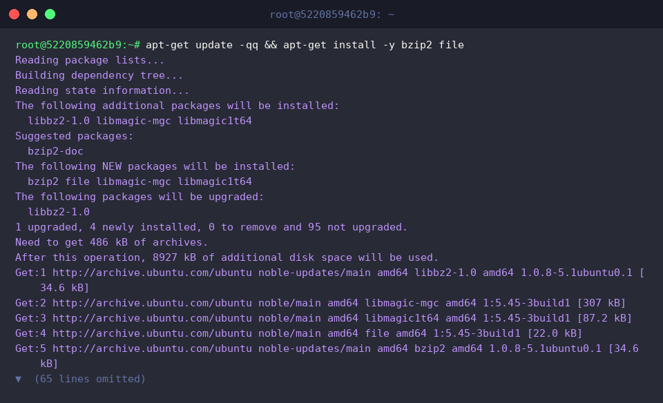 Installing bzip2 and file packages with apt-get