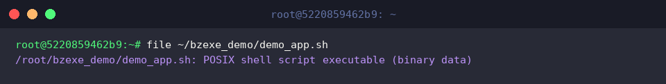 Inspecting compressed script architecture with file