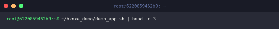 Testing automatic runtime execution