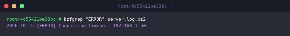 Searching for ERROR records inside compressed archive