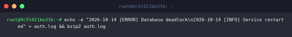 Preparing secondary compressed authentication log
