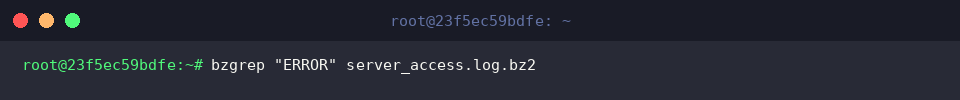 Standard case-sensitive bzgrep execution