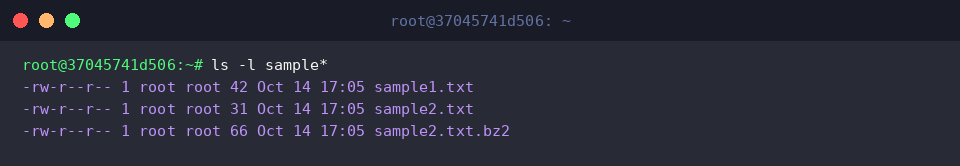 Listing directory state after extraction
