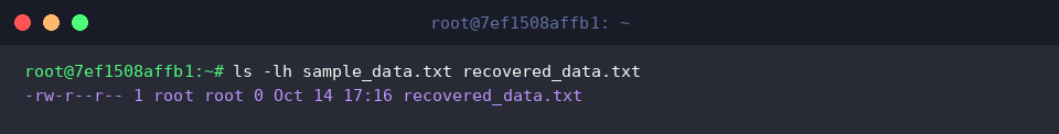 ls -lh sample_data.txt recovered_data.txt
