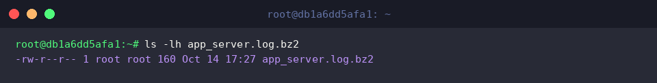 Check file size and ownership details of the newly created bz2 archive