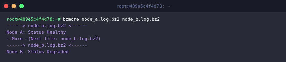 Navigating sequential archives with bzmore