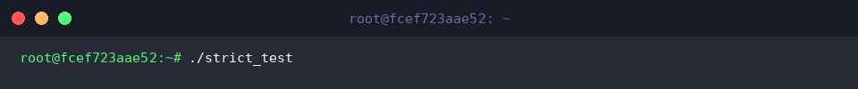 Executing the strict_test binary