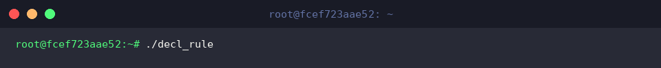 Running decl_rule executable