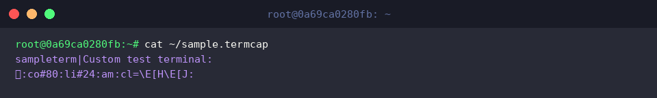 Inspect raw termcap file contents