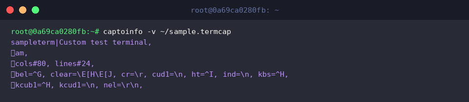Execute verbose captoinfo conversion
