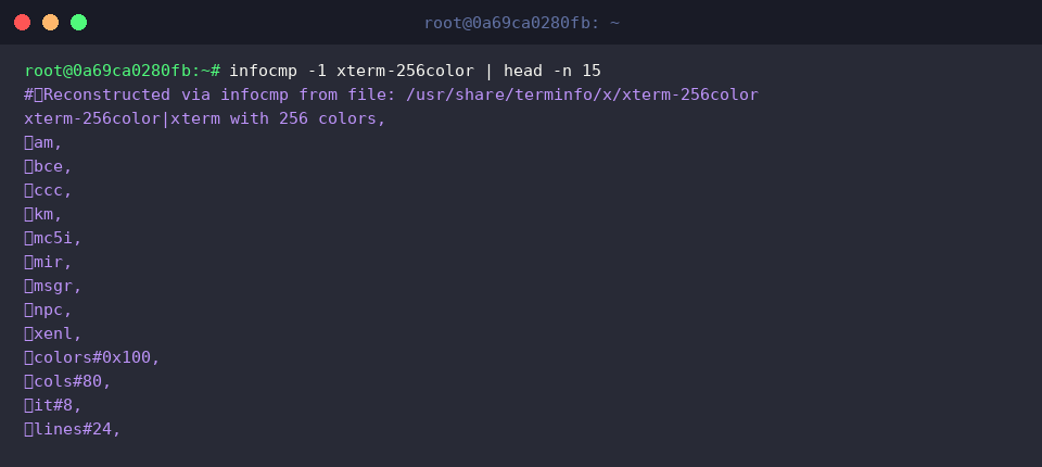 Compare against system xterm-256color profile