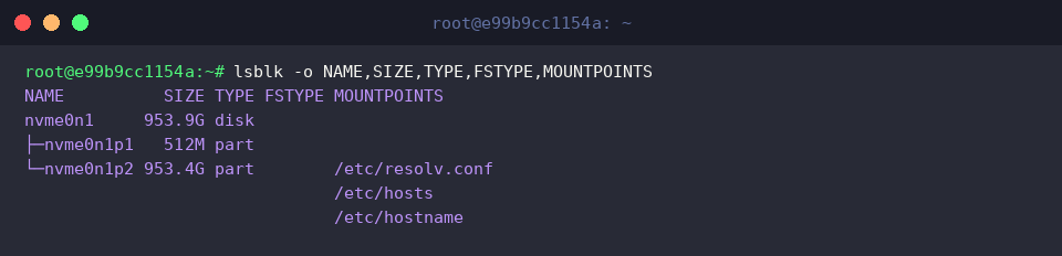 Viewing block device topology with lsblk
