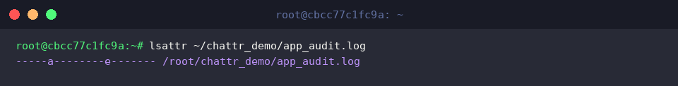 lsattr ~/chattr_demo/app_audit.log