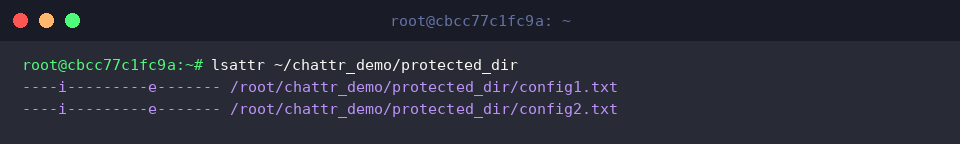 lsattr ~/chattr_demo/protected_dir